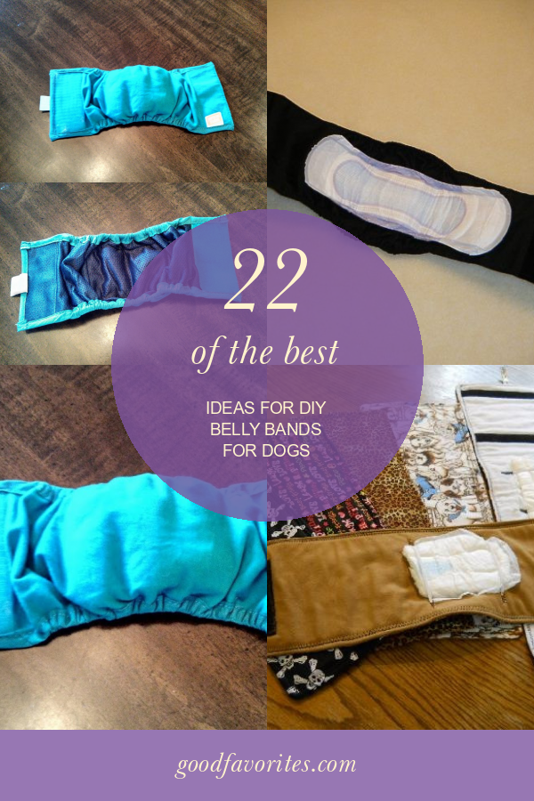 22 Of the Best Ideas for Diy Belly Bands for Dogs Home, Family, Style and Art Ideas